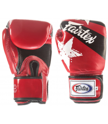 Fairtex Boxhandschuhe BGV1 N Rot/Schwarz