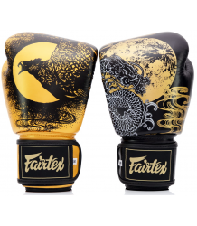 Fairtex Boxhandschuhe BGV26 