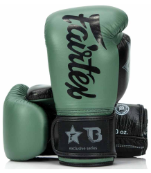 Fairtex Booster Boxhandschuhe FXB BG V2 GR/BK/BK