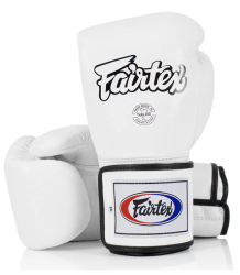 Fairtex Boxhandschuhe BGV5 