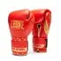 Leone1947 Sparring Boxhandschuhe DNA Rot