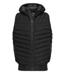 Pit Bull Steppjacke mit Kapuze Naylor Black