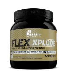 Olimp Flex Xplode 504 g